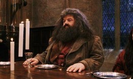 娱乐吃瓜酱霍格沃茨,娱乐吃瓜酱的魔法校园日常