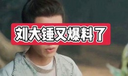 刘大锤爆料歌手视频,歌手神秘视频幕后真相大揭秘
