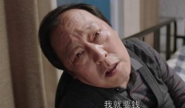 老严扮演者爆料视频大全,揭秘幕后故事与精彩瞬间