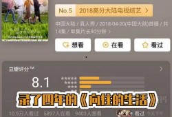 黄磊爆料节目视频播放,视频播放背后的故事