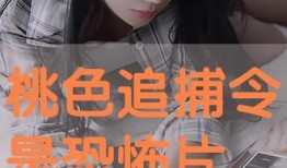 免费在线观看桃色,揭秘网络影视的诱惑与风险