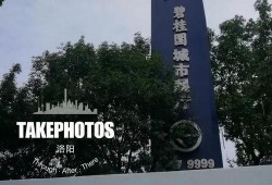 碧桂园房地产最新爆料视频,揭秘未来地产巨头的发展蓝图