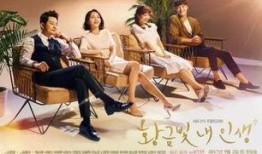 我黄金光辉的人生韩剧在线观看,韩剧在线观看，探寻人生辉煌之旅