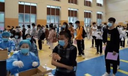 河北学校爆料事件最新消息,真相与反思交织的教育安全风波