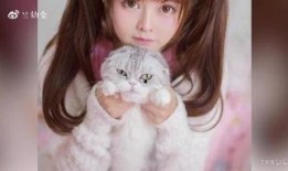 pans视频在线观看,在线观看的视觉盛宴