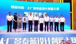 大厂新闻爆料电话,独家爆料电话背后的新闻风云