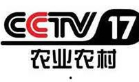 中央电视台五台在线直播观看,实时捕捉体育赛事激情