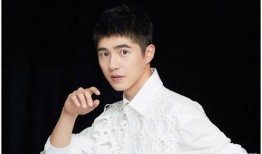 圈内爆料王一博王俊凯,揭秘兄弟情深与娱乐圈风云