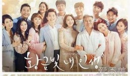 我黄金光辉的人生韩剧在线观看,韩剧在线观看，探寻人生辉煌之旅