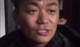 王宝强爆料回家视频播放,温馨瞬间引发网友热议