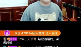 爆料禹城事件视频播放全集,揭秘事件真相与背后故事