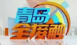 青岛4台直播在线观看,青岛4台直播精彩内容一览