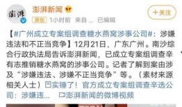 湛江佣兵小强最新爆料,佣兵世界的风云变幻