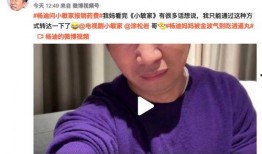 直播爆料杨迪事件视频播放,杨迪直播爆料事件视频播放引发热议