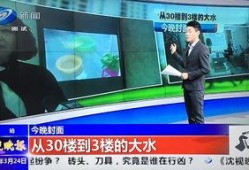 沈阳爆料最新新闻,揭秘XX事件背后真相
