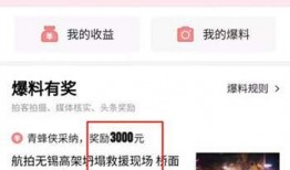 今日头条刘女士爆料,揭秘事件背后惊人真相！