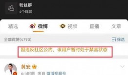 爆料视频佐证材料是啥,视频爆料揭示佐证材料真相