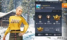 吃鸡爆料人物是谁啊视频,视频背后的神秘面纱